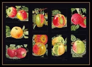 GOK2082B Thea Gouverneur Kit Apples 18" x 12"; Aida; 18ct