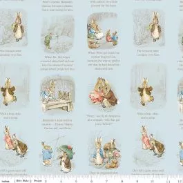 Peter Rabbit & Benjamin Bunny Story Time in Blue