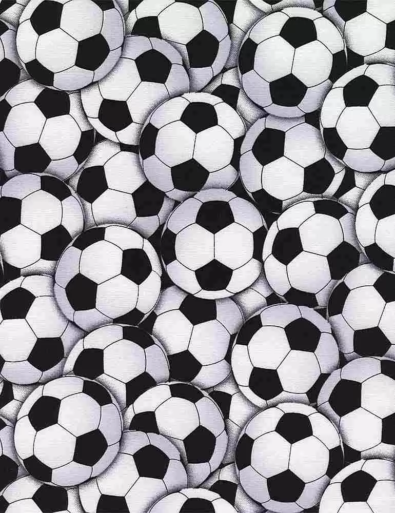 TIMELESS TREASURES - Fitness Fanatic by Gail Cadden - Packed Soccer Balls